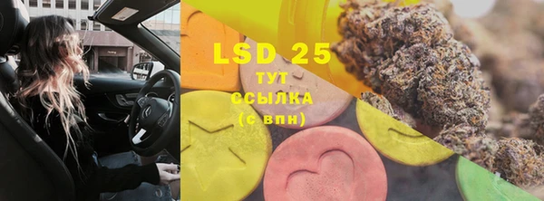индика Михайлов