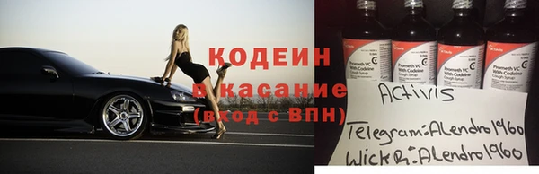 индика Михайлов