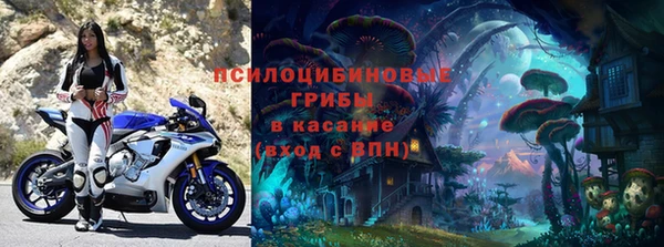 ALPHA PVP Алзамай