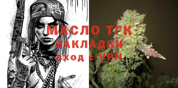 индика Михайлов