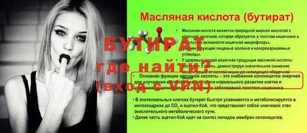 индика Михайлов