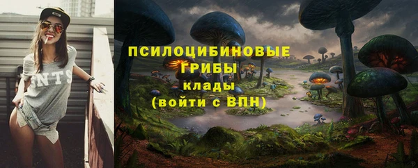 ешки Абаза