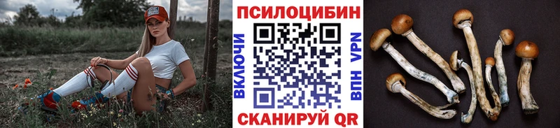 Псилоцибиновые грибы мицелий Янаул